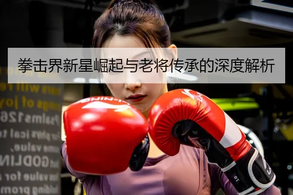 拳击界新星崛起与老将传承的深度解析